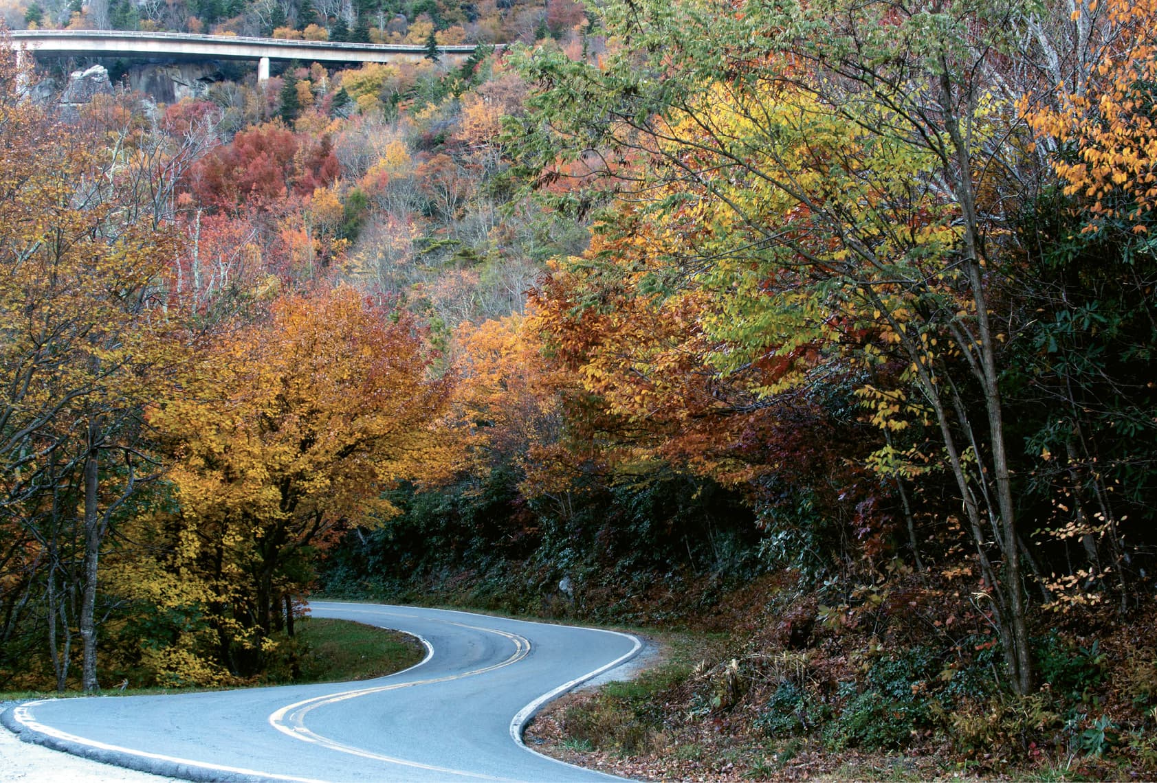 Old Liberty Road cover