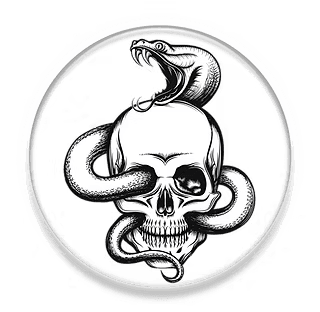 Black Snake cover