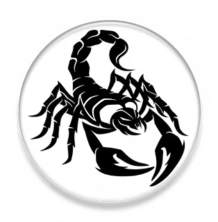 Scorpion cover